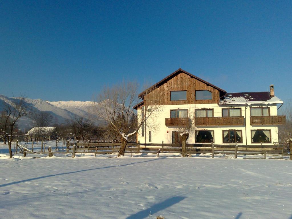 Serena Guesthouse Bran Bran  Exterior photo