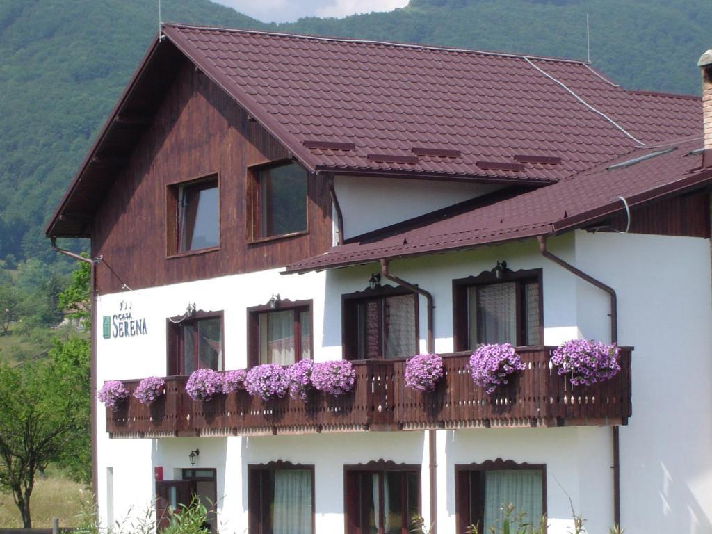 Serena Guesthouse Bran Bran  Exterior photo