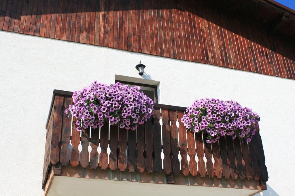 Serena Guesthouse Bran Bran  Exterior photo